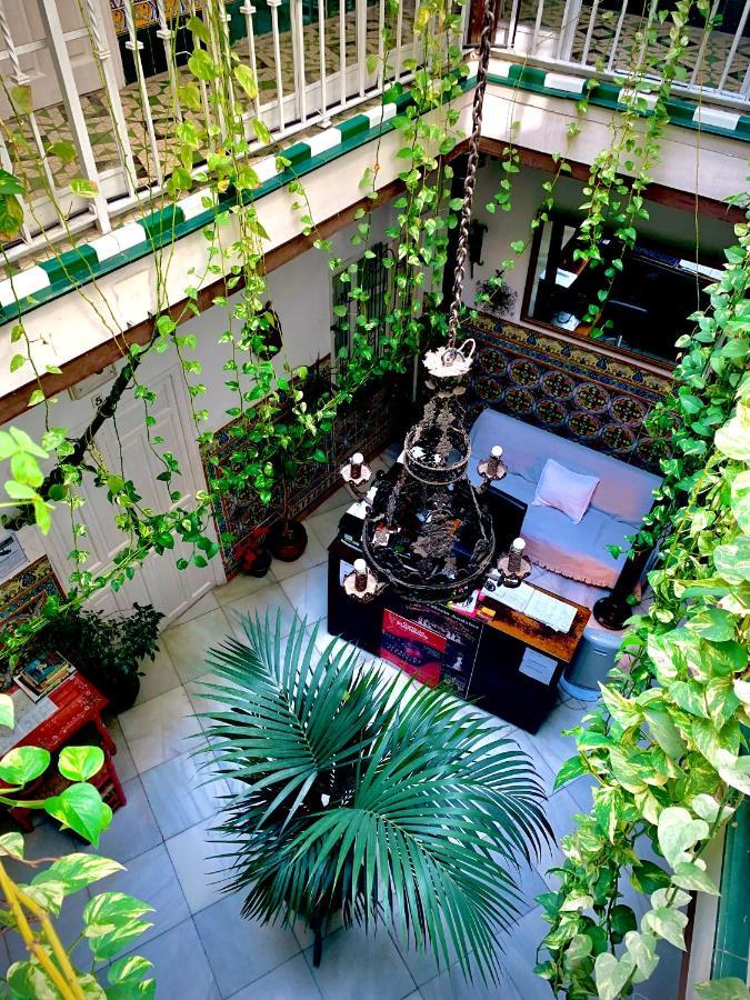 Casa de hóspedes Lis Sevilha