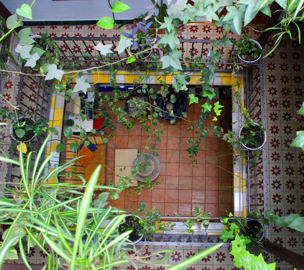 Lis Gasthuis Sevilla